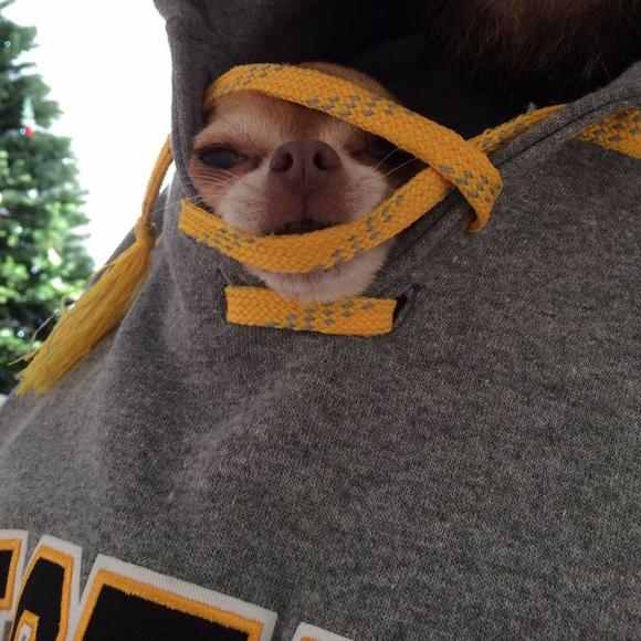Poshmark profile picture for @dilemma